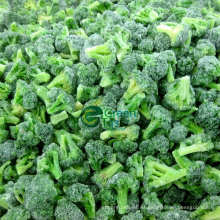 IQF Frozen Chinese Broccoli Floretas Verduras